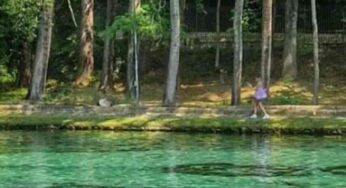 Vivi un’esperienza unica nella natura incontaminata: un’oasi di pace per grandi e piccini